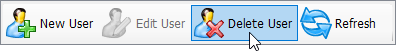 How to delete IAM User(s)