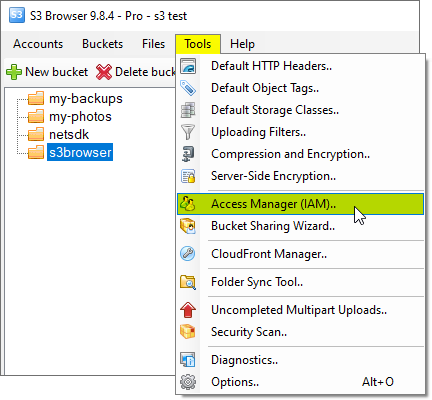 How to open IAM Manager