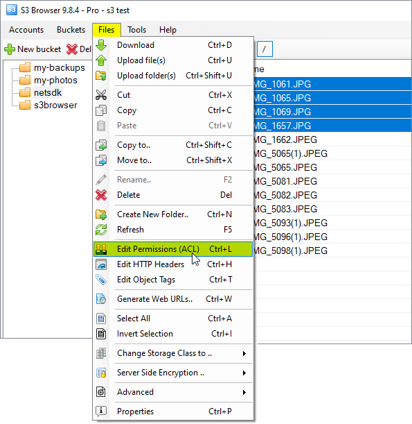 select files and click files edit permissions