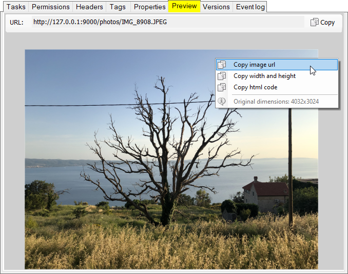 CS Browser Preview Feature. Image viewer with auto-resize.