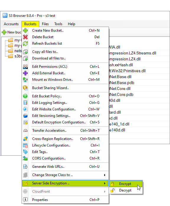 select the files and choose server side encryption