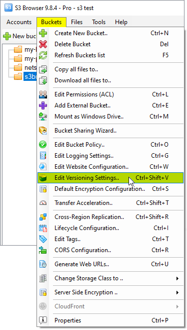 Buckets, Versioning