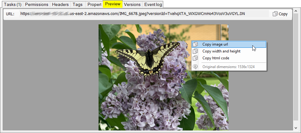 Versions preview